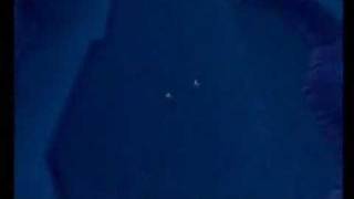 Skylar Blue-Till Death Do Us Part- Kingdom hearts