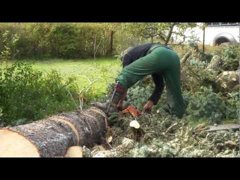 Baum fällen mit Stihl in HD !!