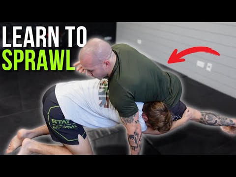 Sprawl: How To Not Get Taken Down In A Fight