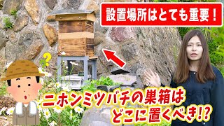 ニホンミツバチの巣箱を置くのにオススメの場所紹介！