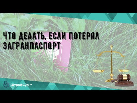 Что делать, если потерял загранпаспорт