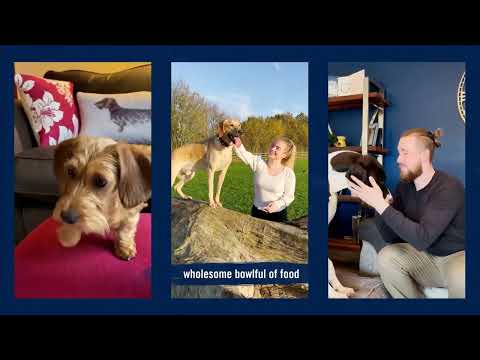 Butcher's British-Made Nourishing Food for Dogs