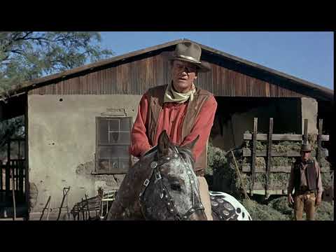 Any more questions you want to ask?