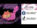 Gato Cheshire En Paño Lency 5 Minutos