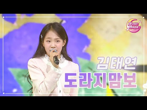 김태연 - 도라지맘보 화요일은 밤이 좋아 70화 230530 방송