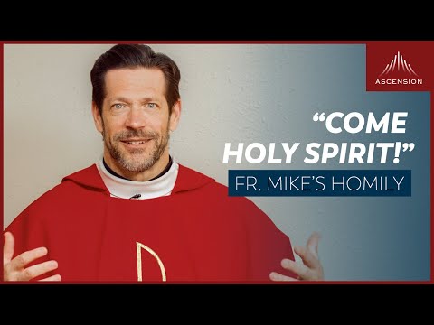 "Come Holy Spirit!" | Pentecost Sunday (Fr. Mike's Homily) #sundayhomily