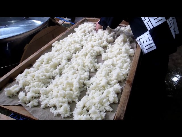 加賀の風土が生む芳醇な日本酒