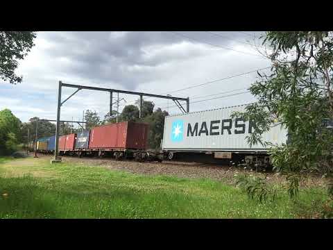 20220927_1253 1435 Gonarro