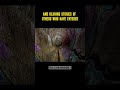 Enter the Gates of Hell #fyp #urbex #urbanlegends #paranormal #weirdnj #haunted #trending #devil #nj