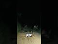Gao Me Deer Deer Deerlake Gaon Like Tranding Trand Ytshort Minivlog