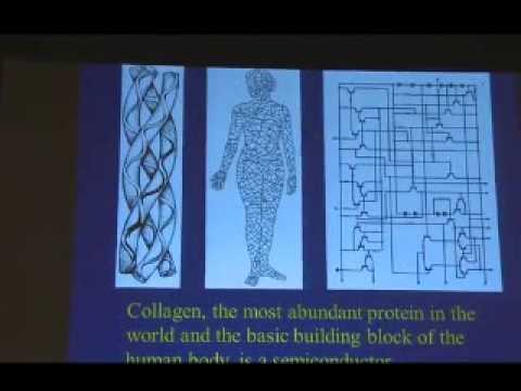 James L. Oschman on the body being a liquid crystal electric circuit