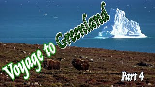 🚢 Greenland Voyage (Part 4 of 4) 🧊