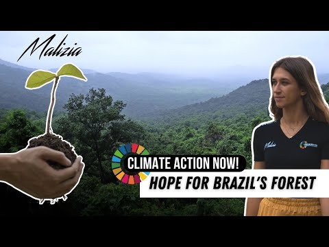 Hope For Brazil's Forest - Climate Action Now! - Team Malizia