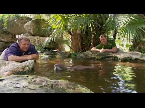 Go Wild! Mission Wildnis - Staffel 3 Folge 3 - Kleiner Otter auf großer Fahrt