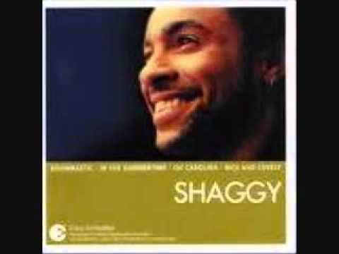 Eminem ft Shaggy- EYE OF THE TIGER *2011*