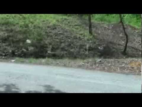 TRODELLA TEST DAY 5/5/2013 ESTERNE By TOP VIDEO