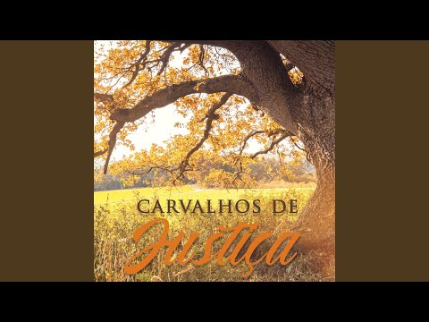 Carvalhos De Justiça - Banda Universos