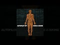 Autopilot Off - Chromatic Fades [Custom Instrumental]