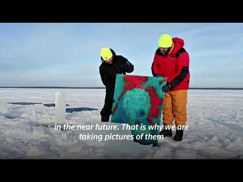 凍てつく水の下でロシアの美術展 (Russia's art exhibition under frozen water)
