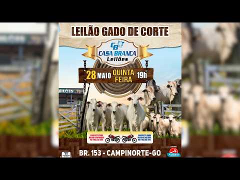 LEILÃO GADO DE CORTE CASA BRANCA LEILÕES -  CAMPINORTE - GO 28 /05 / 2026