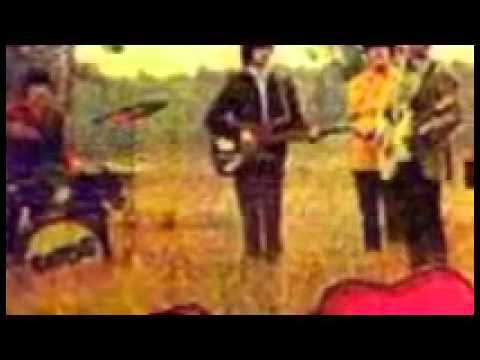 LOS GATOS   DONDE ESTA ESA PROMESA