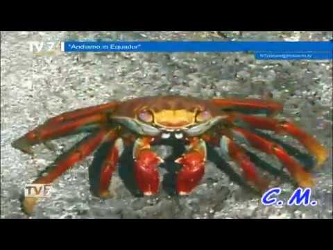 Tv7 con Voi del 9/2/2017 - Andiamo in Equador (2 di 3)