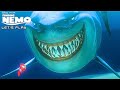 Finding Nemo Minefield Let S Play