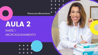 Aula 2 - Microagulhamento - Parte 1