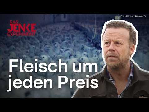 Jenke-Experiment: Massentierhaltung – Ein Blick hinter verschlossene Türen (2015) | RTL DOKU