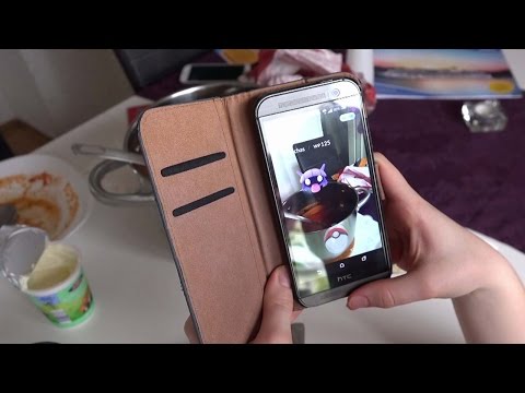 Netzprediger 64 (Pokémon Go, Windows 10)