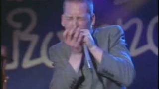 Pete Townsend &amp; David Gilmour - I Put A Spell On You