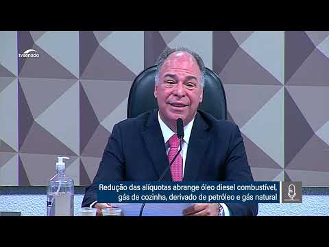 Fernando Bezerra apresenta relatório sobre a PEC 16