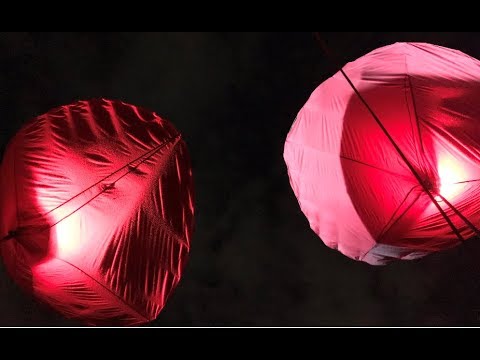 Amorf live || Picnic Fonic