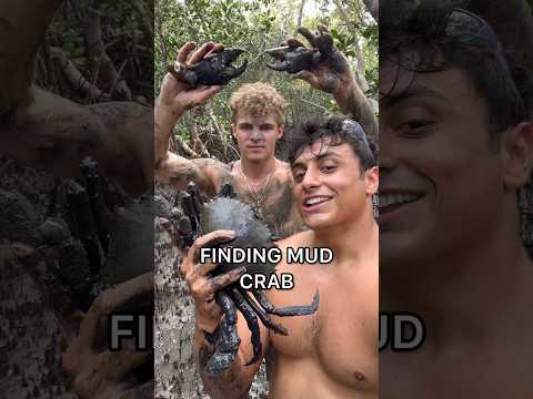 Mud Crab Catch And Cook