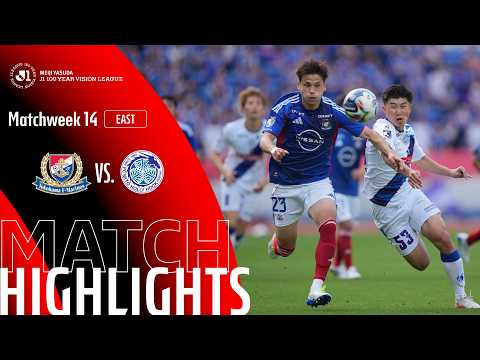 bg-highlight