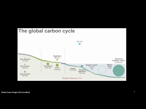 38C3 - May the forest be with you – Bäume pflanzen gegen die Klimakrise?