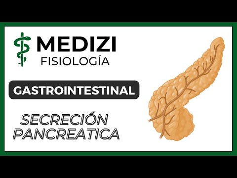 Class 50 Gastrointestinal Physiology - Pancreatic Secretion (Exocrine Pancreas) (IG:@doctor.paiva)