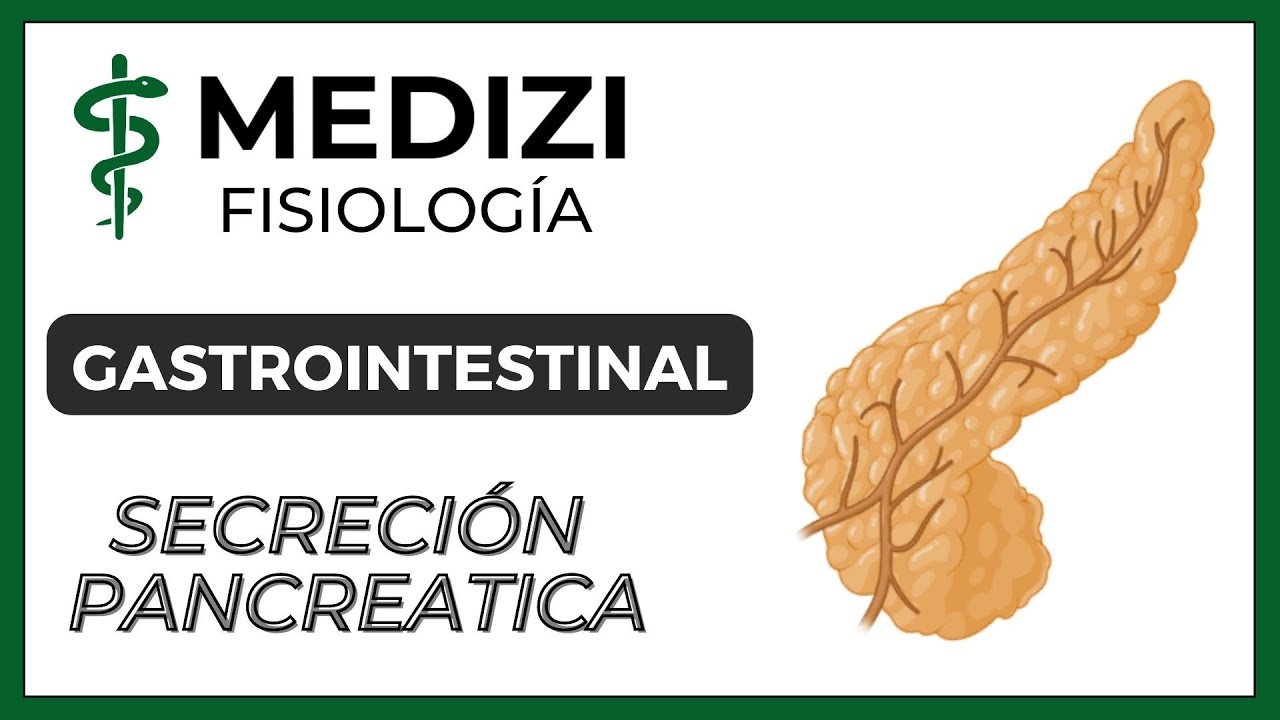Clase 50 Fisiología Gastrointestinal - Secreción Pancreática (Páncreas Exocrino) (IG:@doctor.paiva)