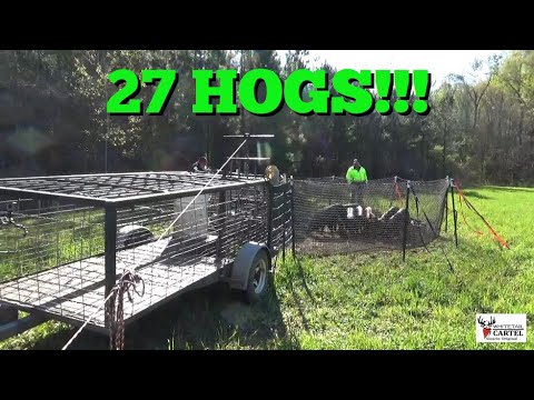 Pig Brig Catch & Load : Our Biggest Catch Yet!!!