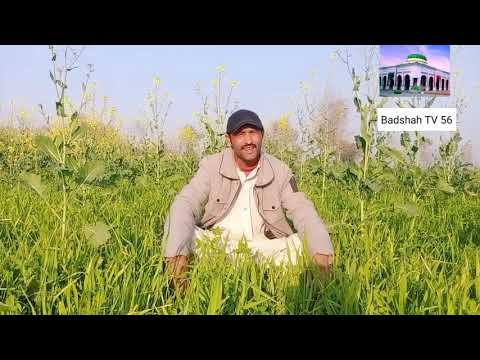 Door Gaiyan di yaad satawe Akram faridi song Singer Safdar Hussain