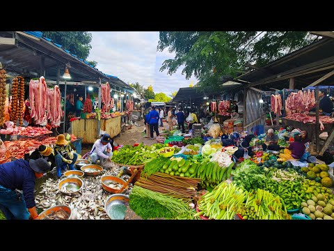 Amazing Cambodian Food Market Scenes, Massive Food Tour
