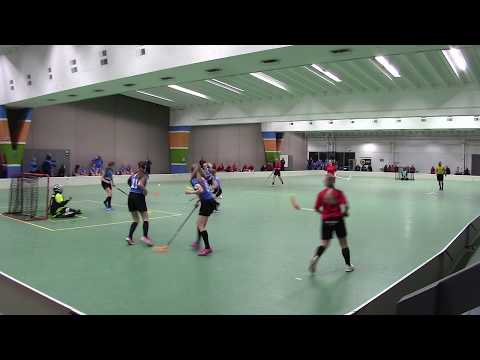 B-tytöt maalikooste Häme Stars - Salpa 25.1.2020 SB-Areena