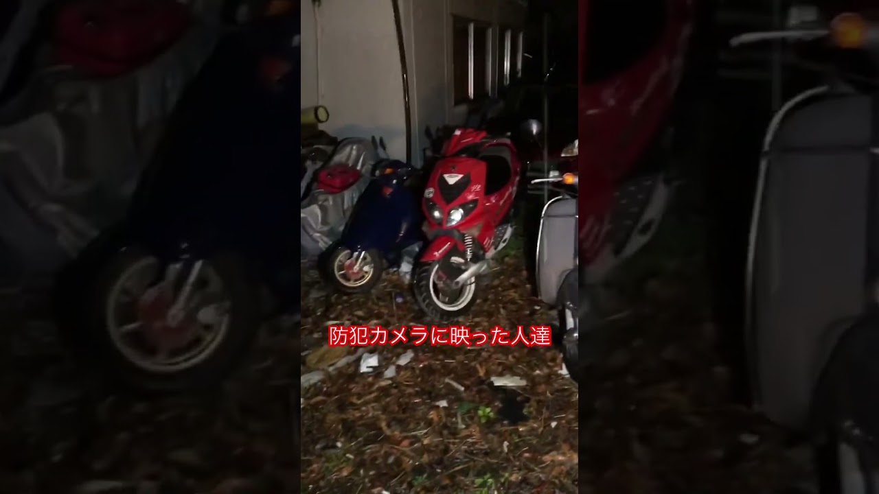 ◯◯F熊◯車庫に現れた泥棒コンビ🕳️ #automobile #shorts #shortvideo