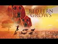 Where The Red Fern Grows Own It On DVD Digital Download