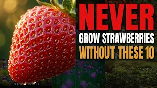 These 10 Companion Plants Will Transform Your Strawberry Harvest