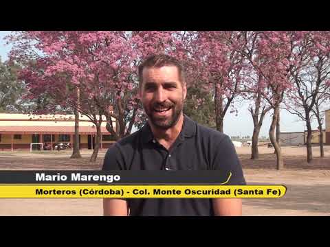 Producción, tecnología e implementos GEA en los tambos de la familia Marengo en Monte Oscuridad (SF)