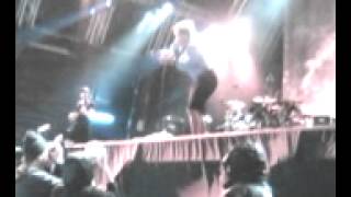 Emeli Sande 'tiger'