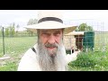 Biggest Mistake New Beekeepers Make