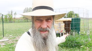 The BEEKEEPING SCAM you should avoid! Newbies listen up...