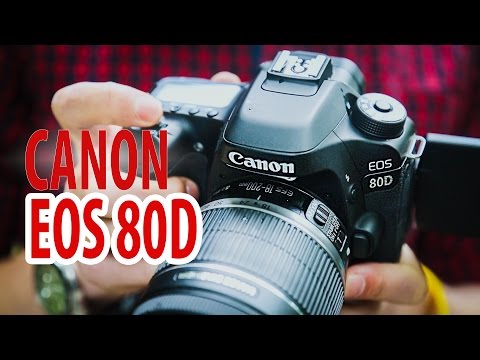 Фотокамера Canon EOS 80D Kit EF-s 18-135 мм f/3.5-5.6 IS USM - Видео
